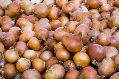 As shot fresh onion photo at market place