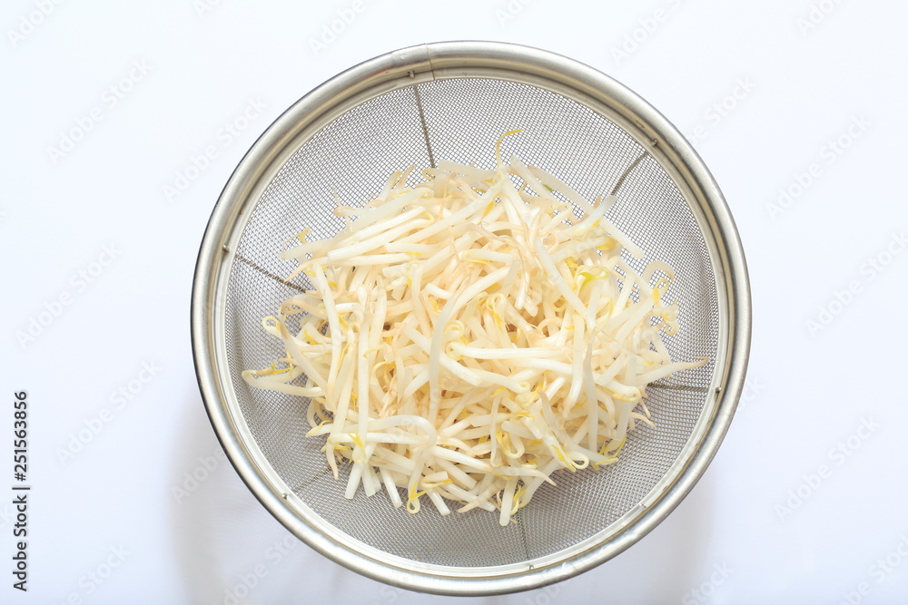 Image of bean sprouts