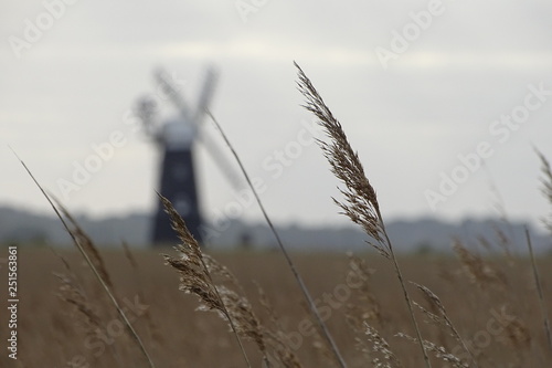 Views of Berney Arms Windmill and Burgh Castle, Norfolk Broads - Great Yarmouth, Norfolk, England, UK photo