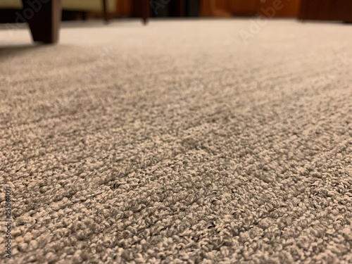 Fotografie floor carpet room hallway