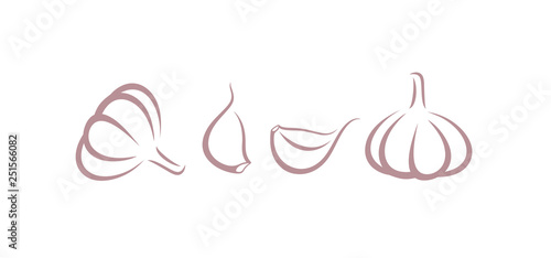 Garlic logo. Isolated garlic on white background