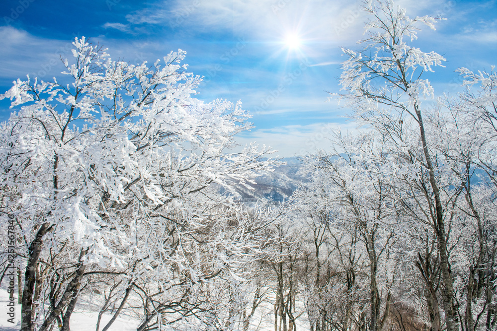 Landscape and Mountain view of Nozawa Onsen in winter with sunrise and blue sky background, Nagano, Japan. Landscape and Mountain view of Nozawa Onsen in winter with sunrise and blue sky background, Nagano, Japan.