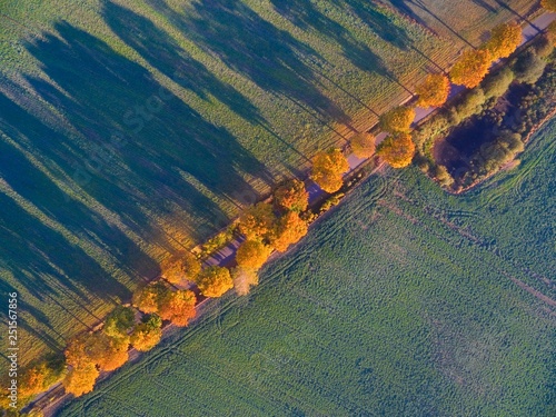 Aerial view of country road...