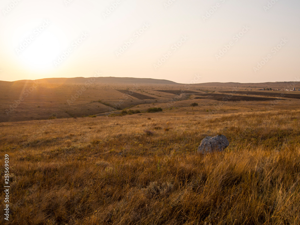 Obraz premium Fields of gold