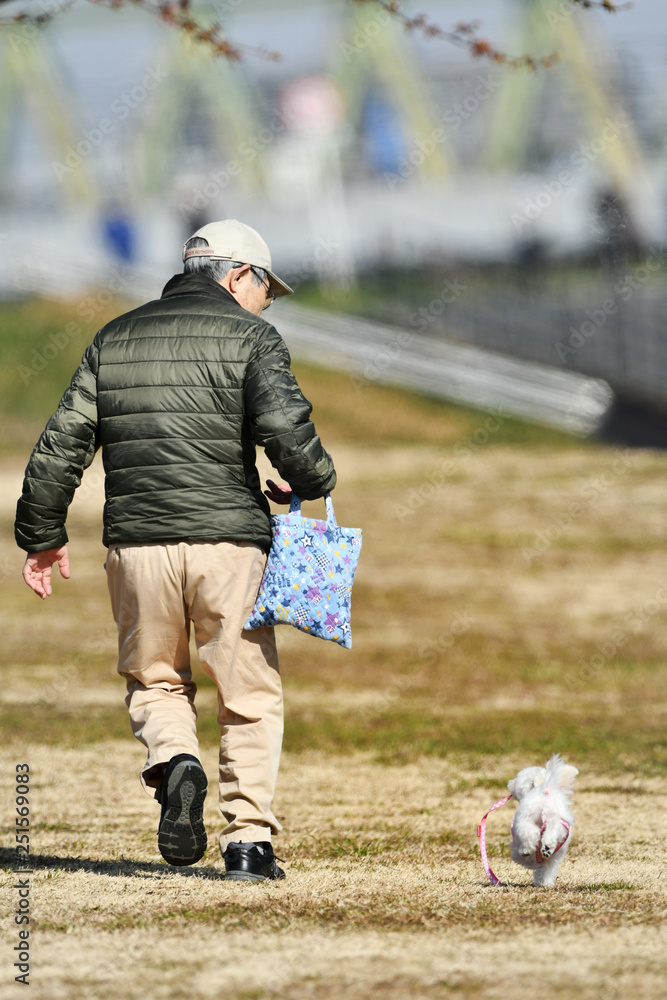 Obraz premium 犬と散歩する老人