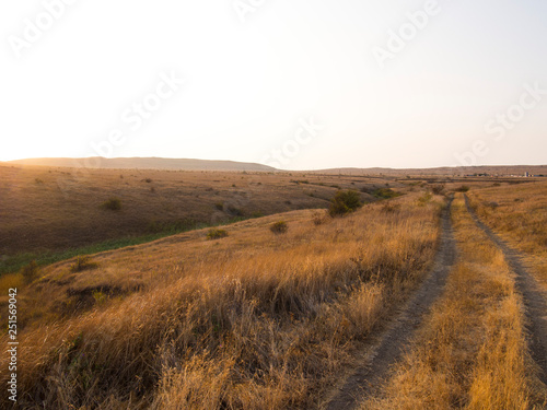 Fotografie Road through the gold