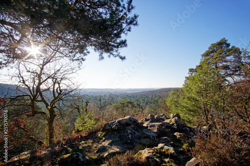 Trois pignons forest in the french regional nature park