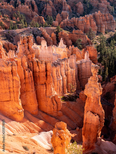 Bryce Canyon mystic red rocks trip