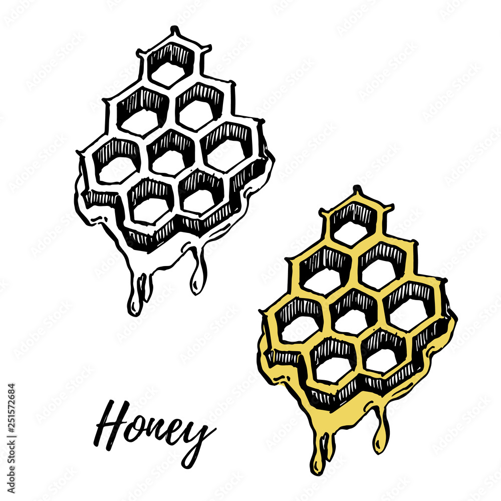 Fototapeta premium Honey elements illustrations. Hand drawn illustrations isolated on white background.