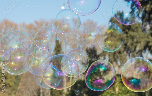 Bubble. Citadel Park. Color. Public. Balloons