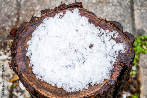 White snow on a big piece of wood in a cold day of february 
