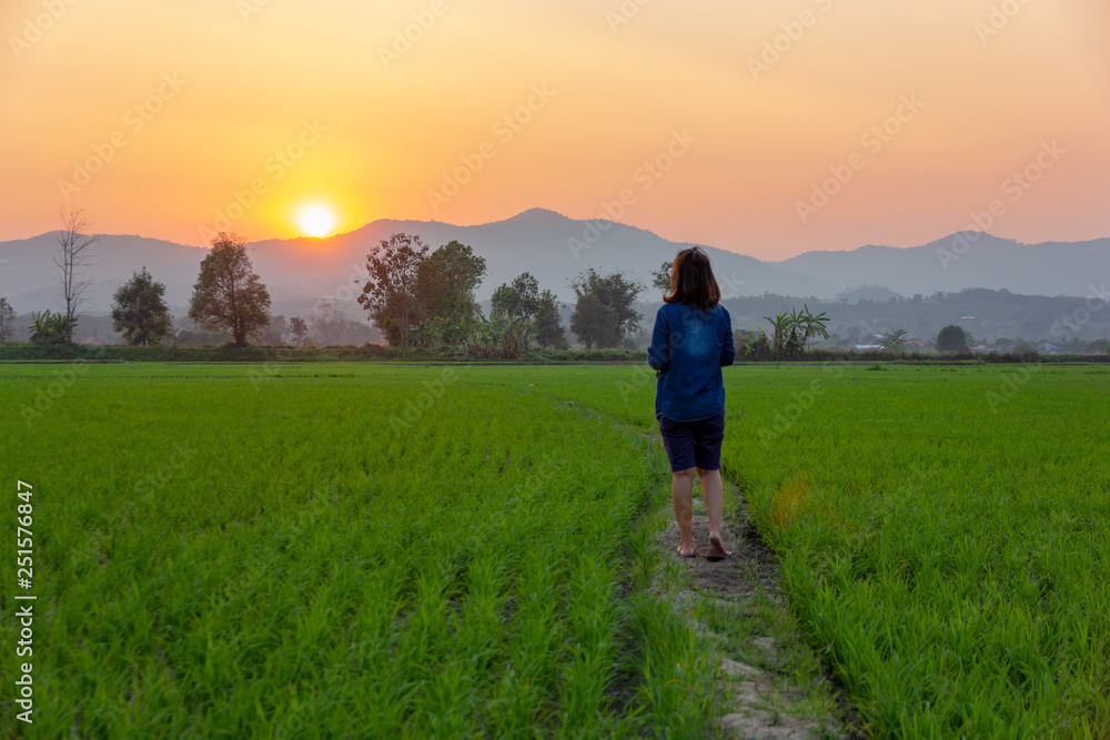 Asian woman tourist looking at green rice field over sunset shining through the mountains. Asian woman tourist looking at green rice field over sunset shining through the mountains.