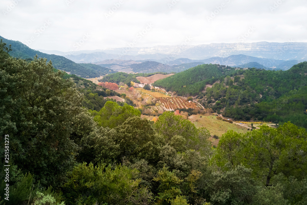 Valle visto desde lo alto con cultivos agrícolas otoñal entre bosques y sierra montañosa. Provincia de Tarragona. Cataluña. España