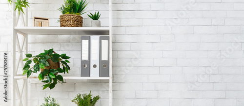 Tablou pe pânză White bookshelf with plants and folders over wall