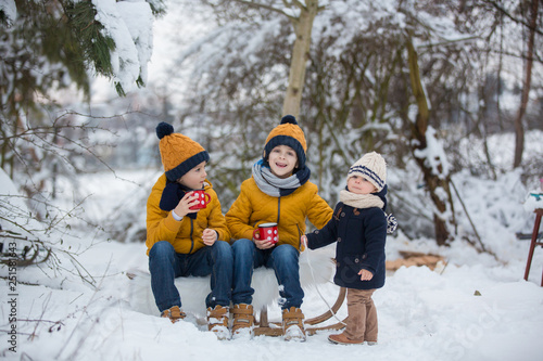 Sticker Sweet siblings, children having winter party in snowy forest