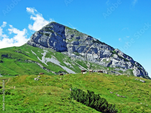 Mountain hikers on the alpine peak of Margelchopf and in the Alviergruppe mountain range - Canton of St. Gallen, Switzerland photo