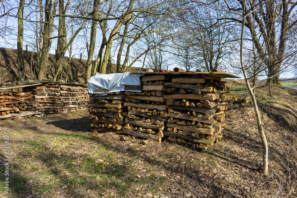Sawn, split wood, trunks lie in the meadow. Sawn, split wood, trunks lie in the meadow.