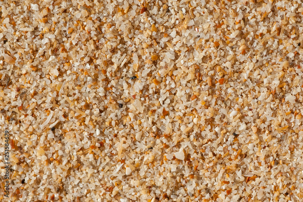 Sand texture. Sandy beach for background. Top view Sand texture. Sandy beach for background. Top view