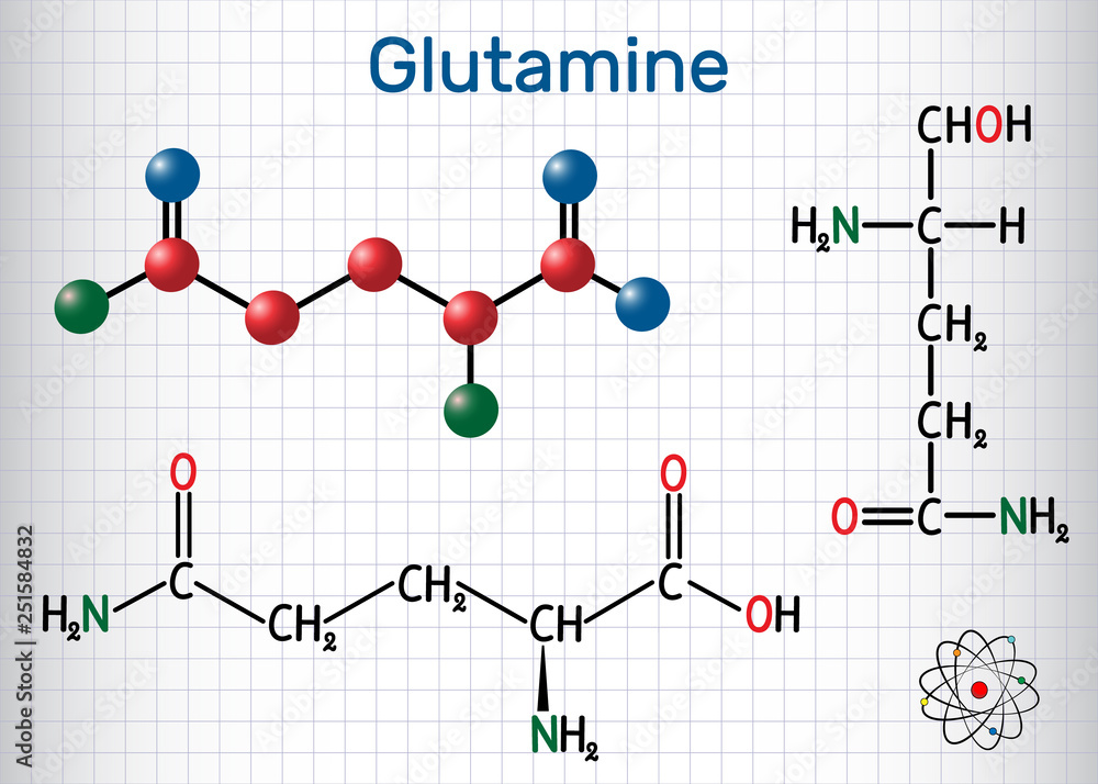 Glutamine (Gln , Q) amino acid molecule. Structural chemical formula and molecule model. Sheet of paper in a cage. Glutamine (Gln , Q) amino acid molecule. Structural chemical formula and molecule model. Sheet of paper in a cage.