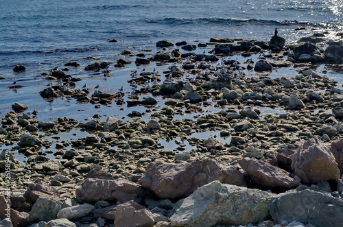 Life by seashore in Black sea Nessebar, Bulgaria