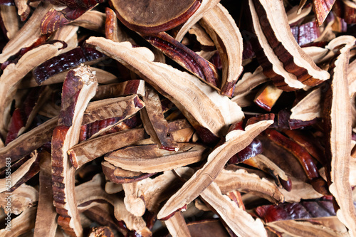 Dried Lingzhi mushroom Before make a drug photo