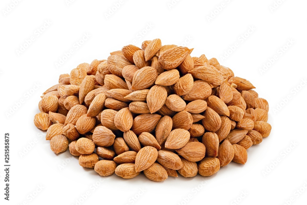 Walnut on white background Walnut on white background