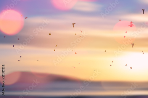 Birds flying over motion blur tropical sunset beach abstract abstract.