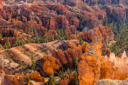 Beautiful Bryce Canyon - red orange nature USA
