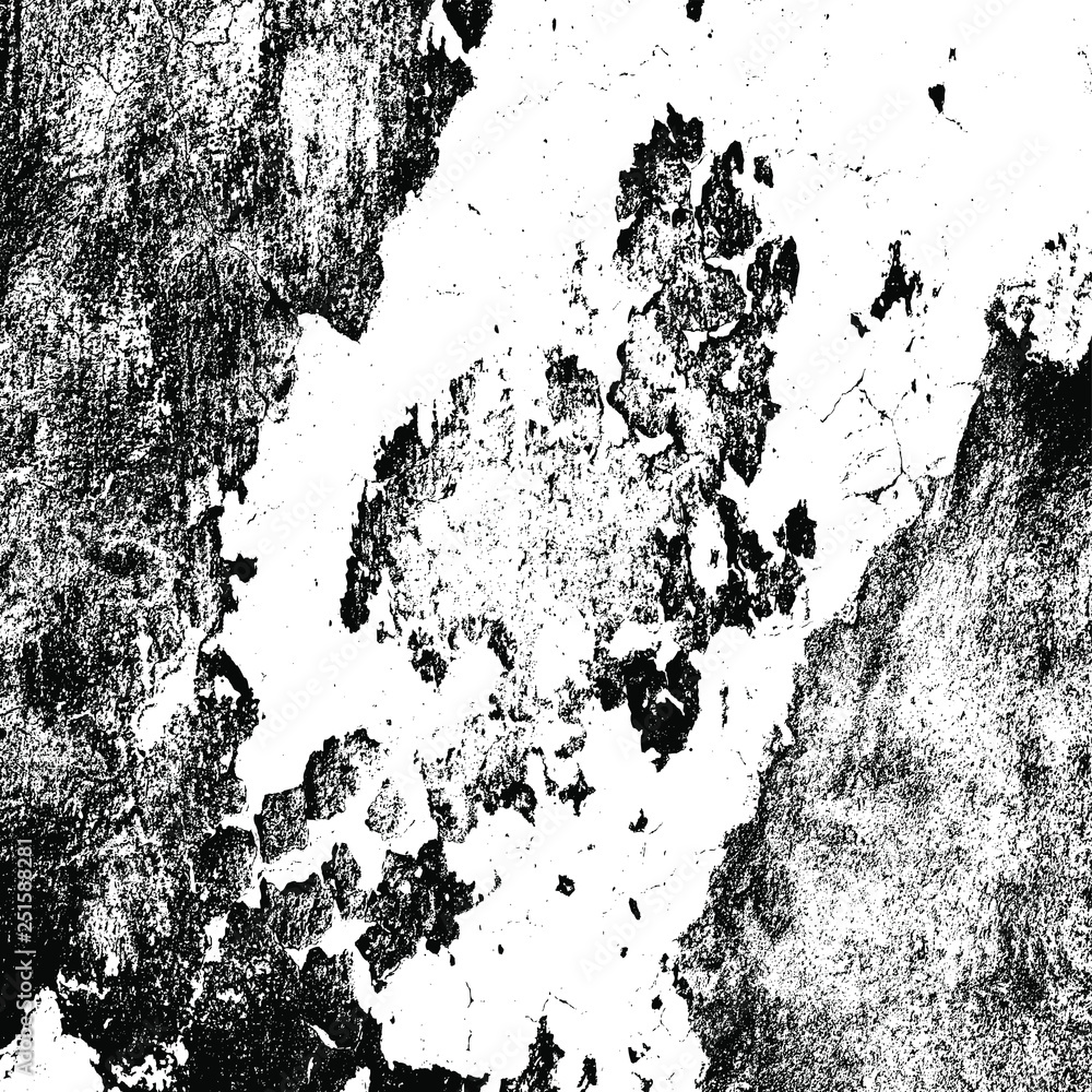 Fototapeta premium Grunge vector background
