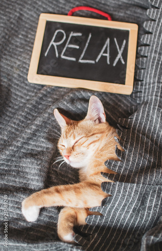 Cute little ginger kitten sleeping in gray blanket, relax time, toned photo, vintage
