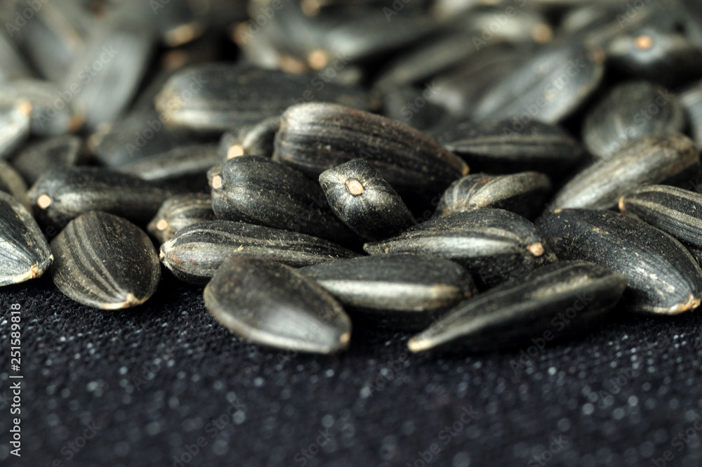 Sunflower seeds on a dark fabric background. Shallow depth of field