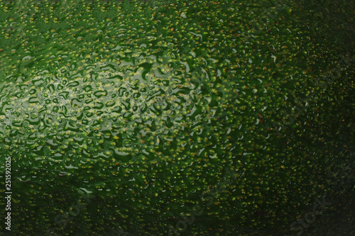 Green avocado peel skin close up macro avocado background