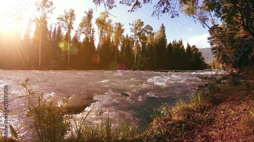 Meadow at mountain river bank. Landscape with green grass, pine trees and sun rays. Movement on motorised slider dolly.