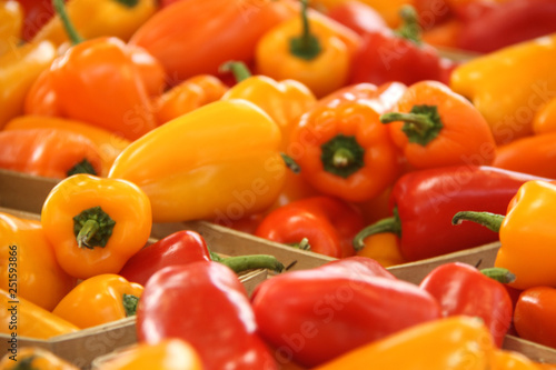 Closeup Of Colorful Sweet Mini Peppers in Baskets