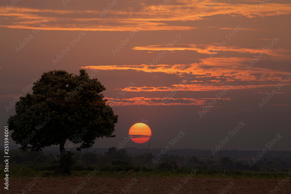 Sunrise or Sunset With Tree. Sunrise or Sunset With Tree.