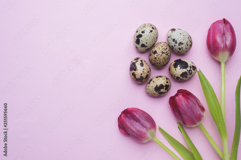 Bright flowers tulips and quail eggs on colors background. Spring and Easter holiday concept with copy space