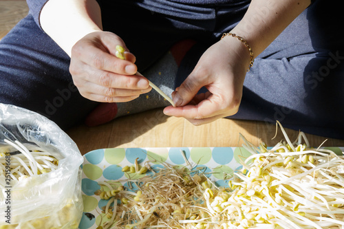 hands trimming bean sprouts