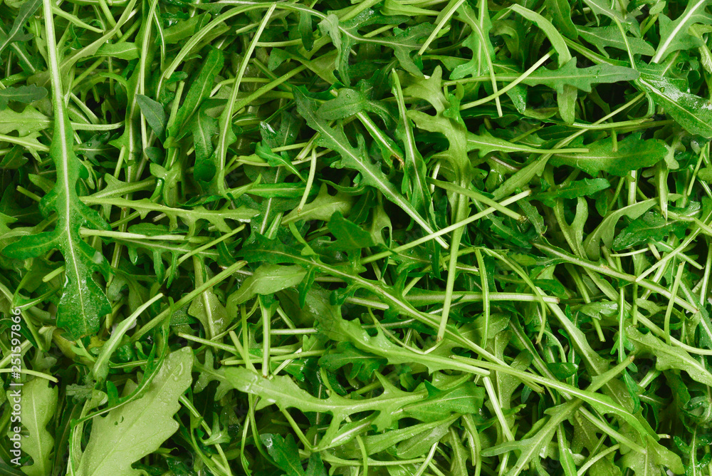 Fresh leaves of arugula as background. Fresh leaves of arugula as background.
