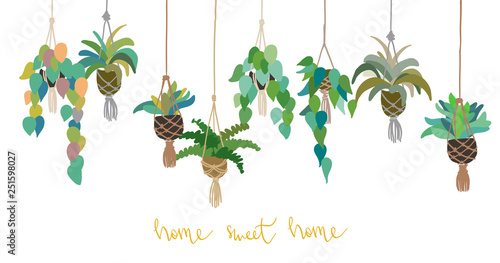 Urban interior house plants in decorative pots macrame hanger vector illustration. Hand drawn art succulents cacti ficus tropical plants in scandinavian minimal style. Lettering phrase Home sweet home
