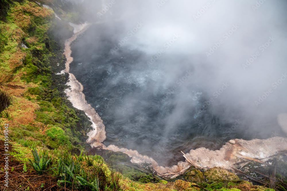 Thermal Pools of New Zealand