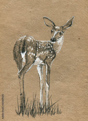 Old craft paper with black and white hand drawing