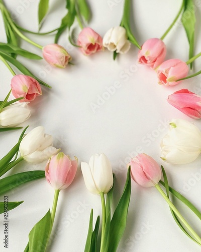 Fototapeta Naklejka Na Ścianę i Meble -  Pink and white tulips in a circle