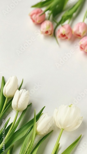 Fototapeta Naklejka Na Ścianę i Meble -  Spring tulips on a white table