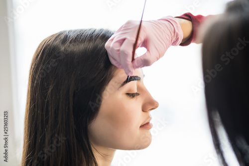 Makeup artist applies paint henna on previously plucked, design, trimmed eyebrows in a beauty salon in the session correction. Professional care for face.