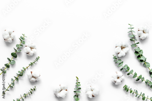 Flowers composition with fresh eucalyptus branches and cotton. Flat lay, top view, copy space © 279photo