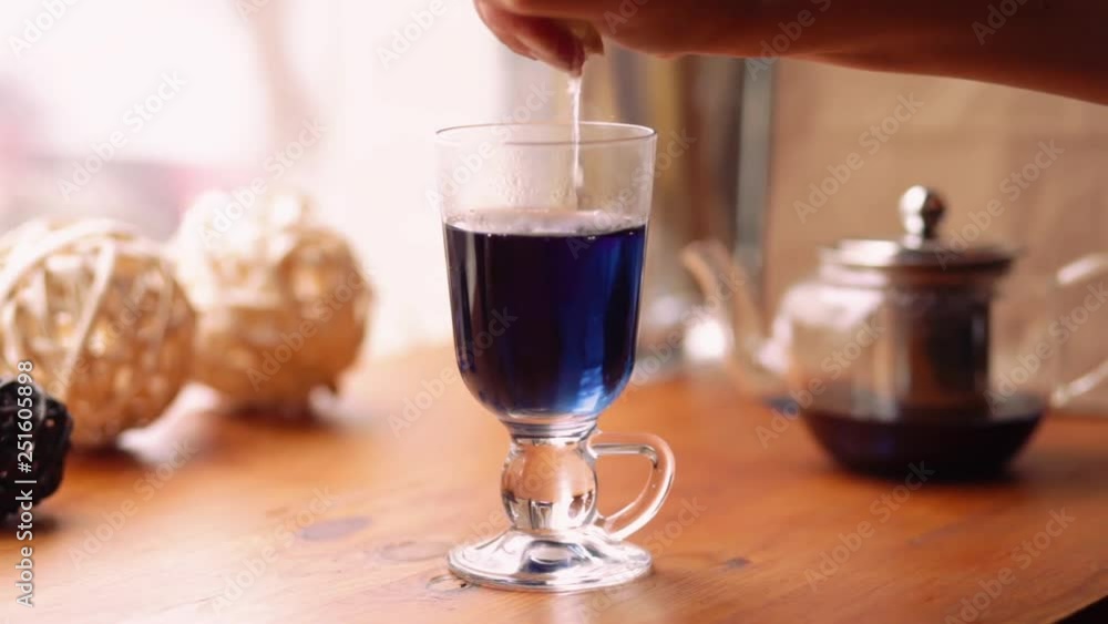 A woman squeezes a lemon into a Cup of floral blue Thai tea Blue Butterfly Pea tea. Blue tea reaction to lemon juice. Blue tea turns purple. Slow motion A woman squeezes a lemon into a Cup of floral blue Thai tea Blue Butterfly Pea tea. Blue tea reaction to lemon juice. Blue tea turns purple. Slow motion