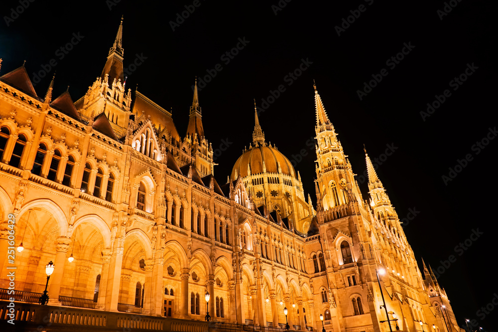 The Hungarian Parliament Building by night