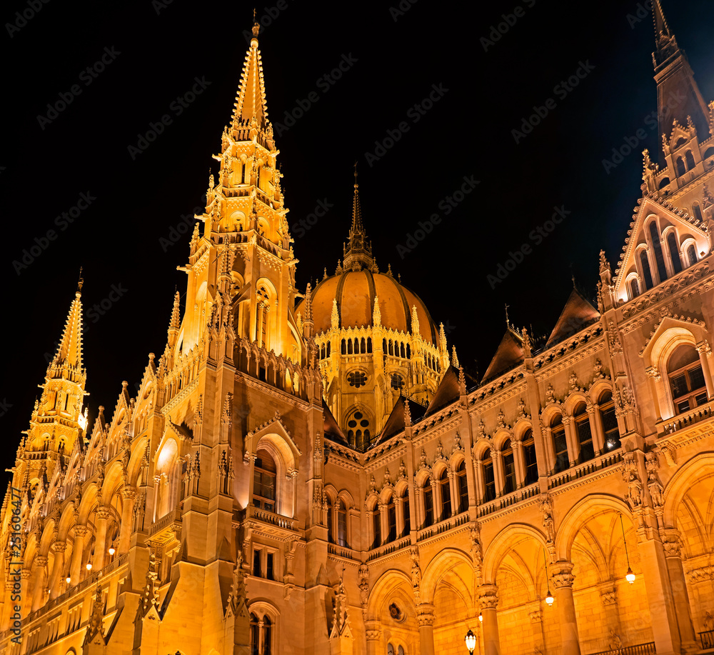 The Hungarian Parliament Building by night