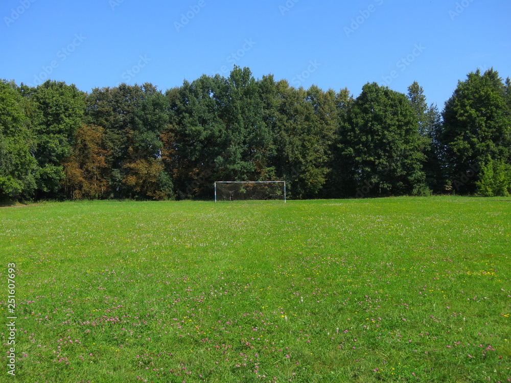 Landscape of nature in the summer with an old football goal on the meadow