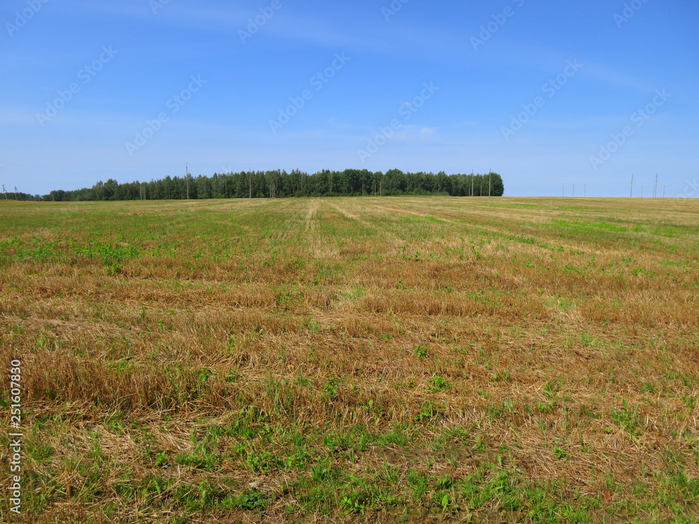 The landscape of the field with the harvested grain on a blue sky background